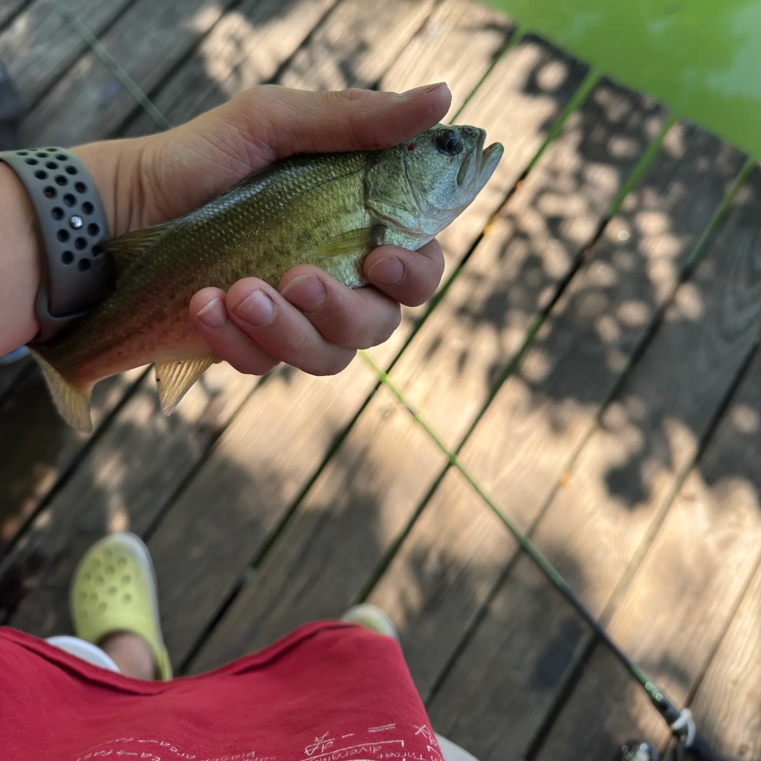 catch