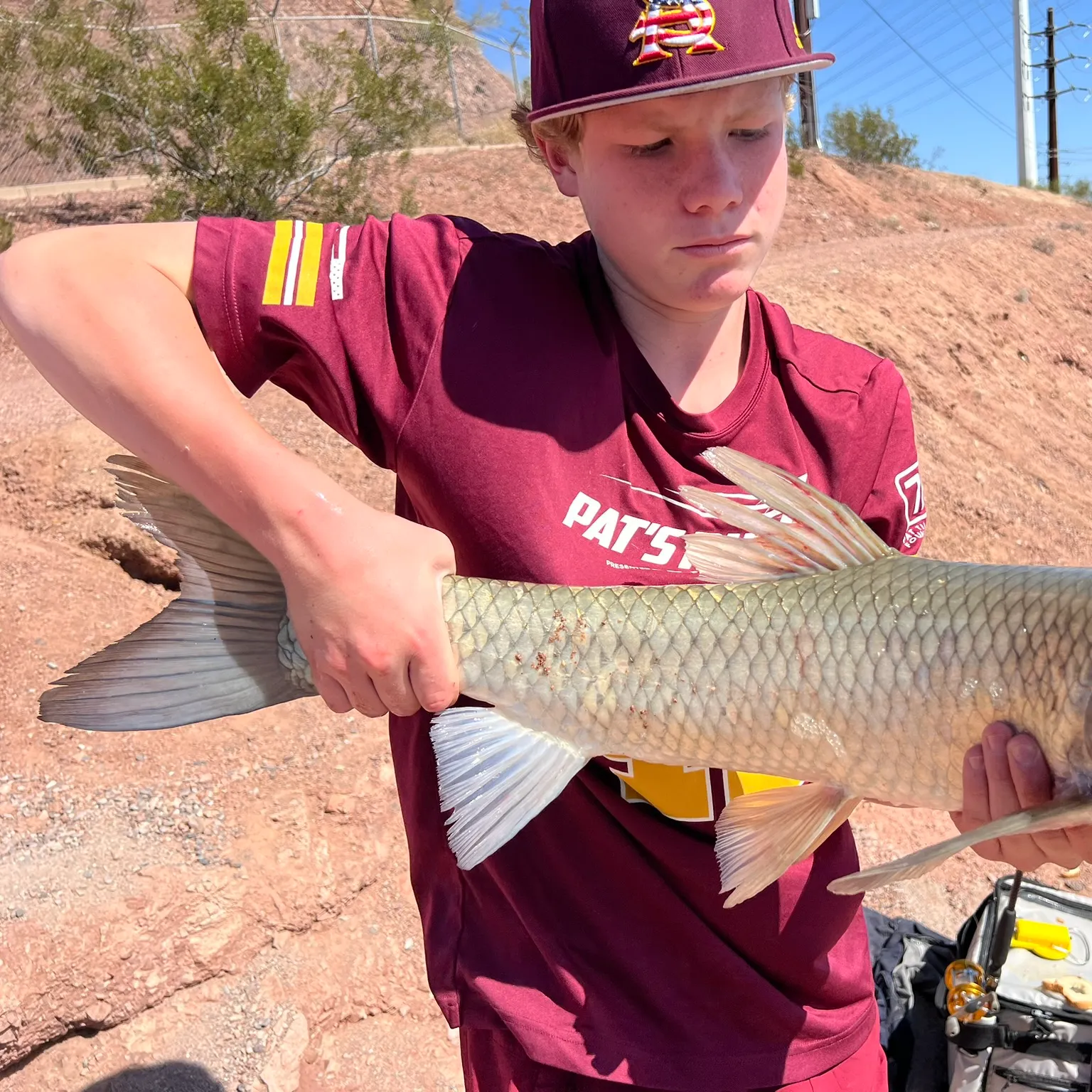 The most recent Grass carp catches on Fishbrain