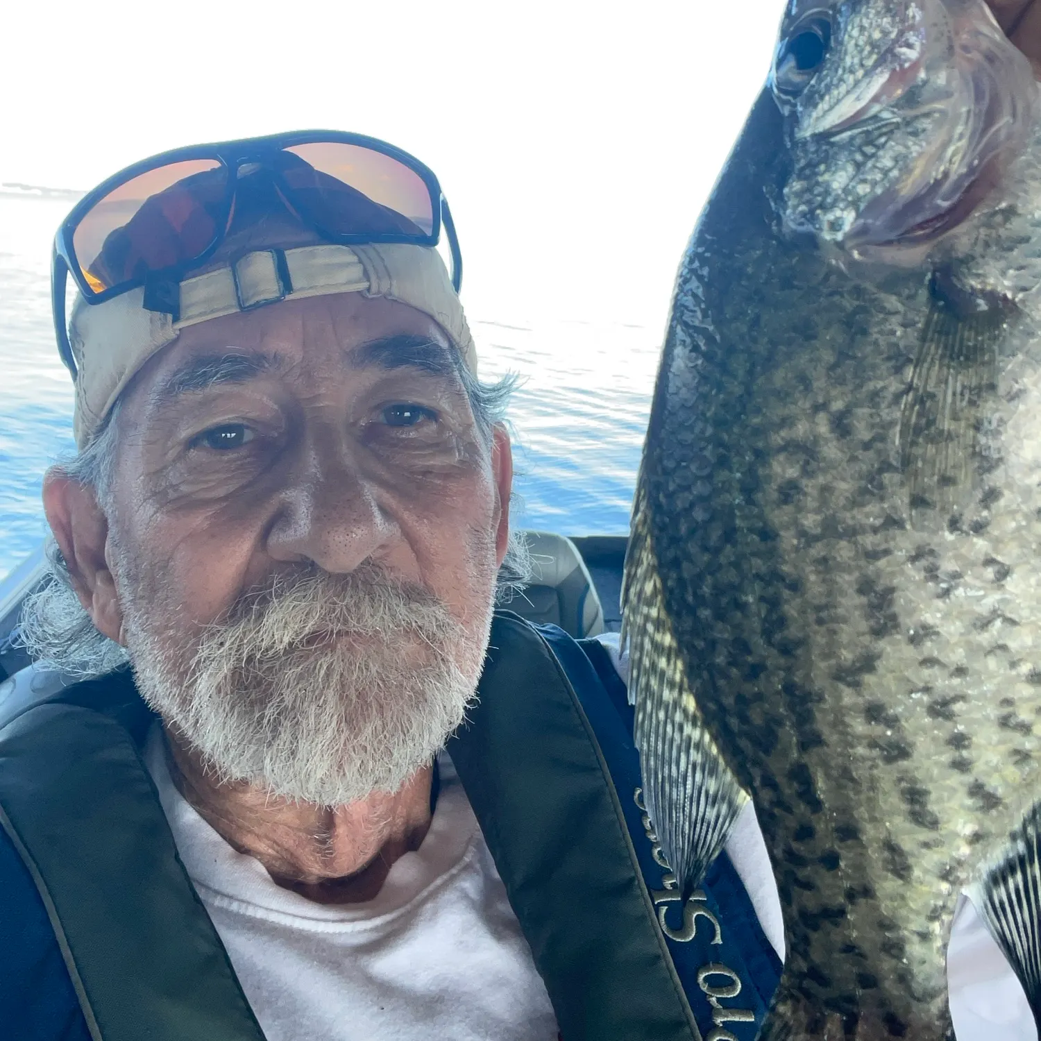 Black crappie caught on Fishbrain
