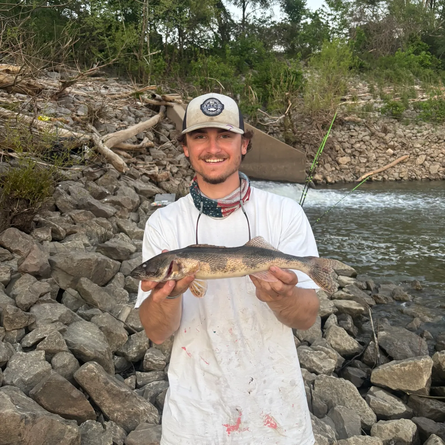 The most recent Sauger catches on Fishbrain