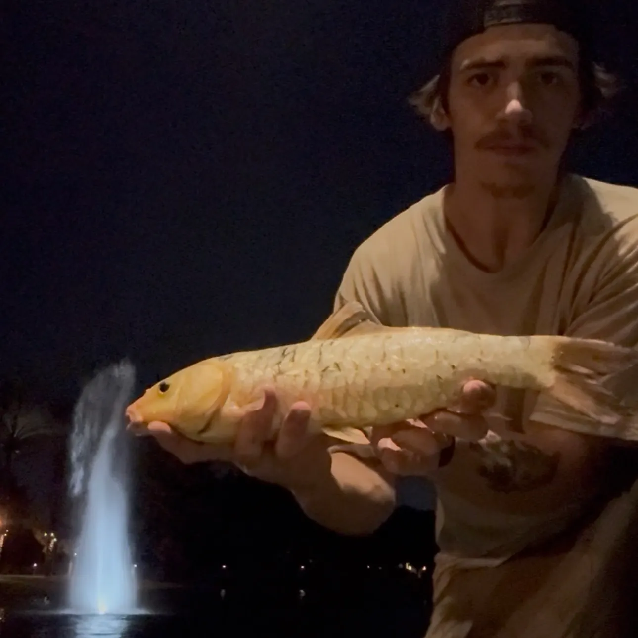 The most recent Ghost carp catches on Fishbrain