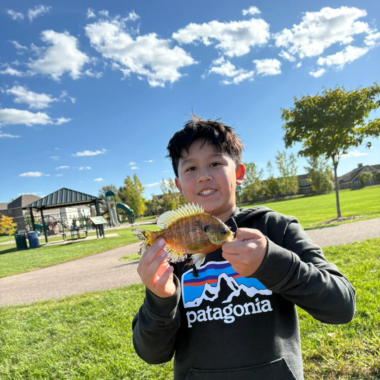 Fish caught on Fishbrain