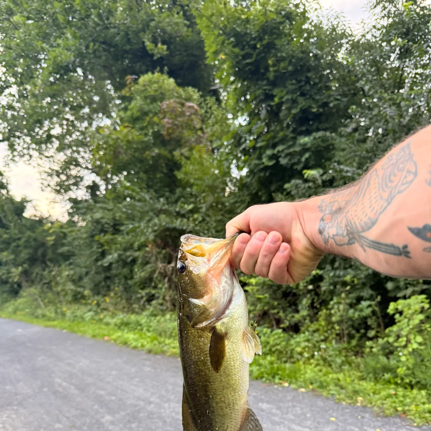 catch