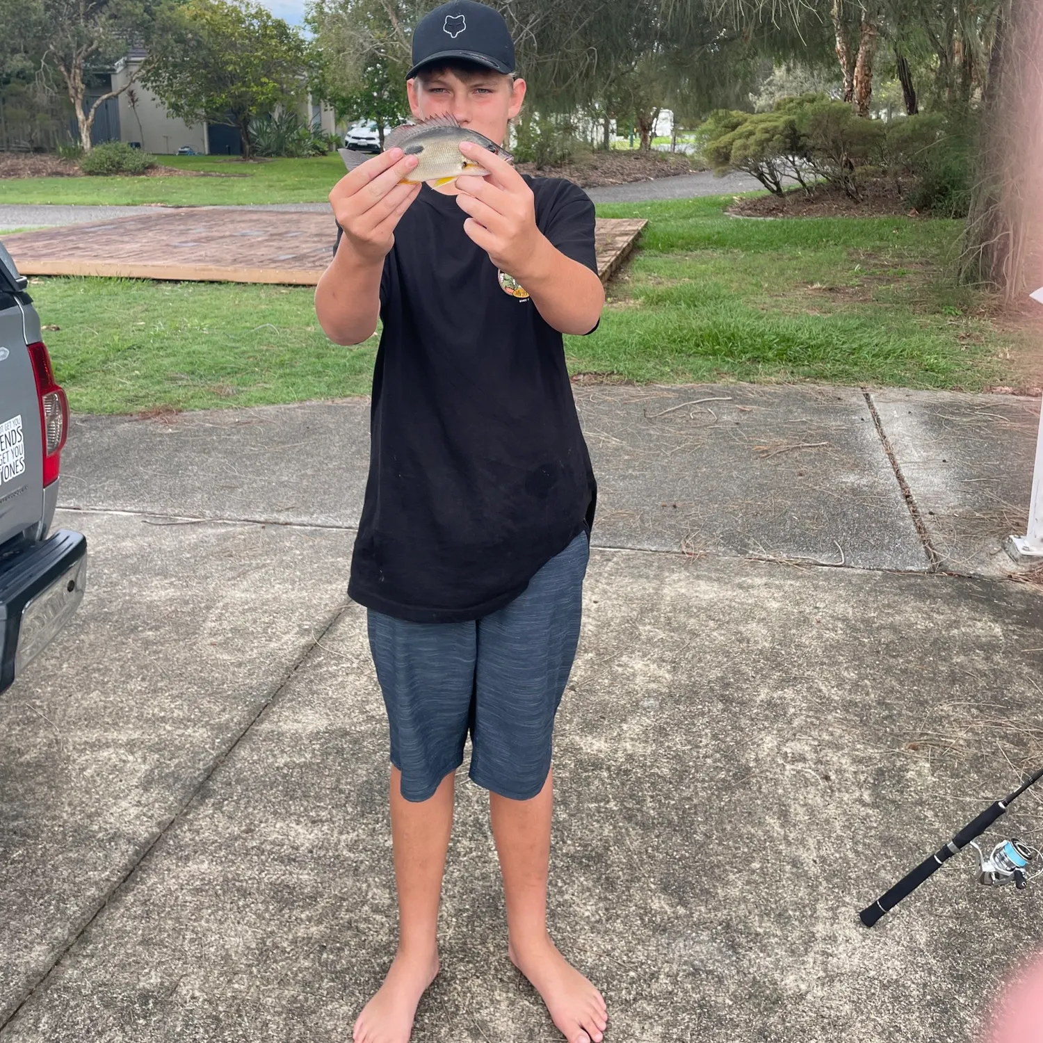 The most recent Moses perch catches on Fishbrain