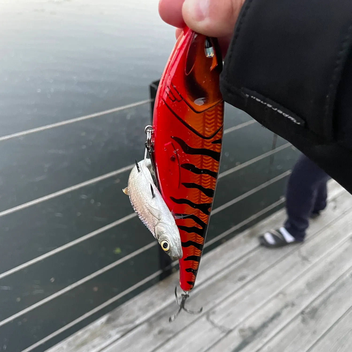 The most recent Common bleak catches on Fishbrain