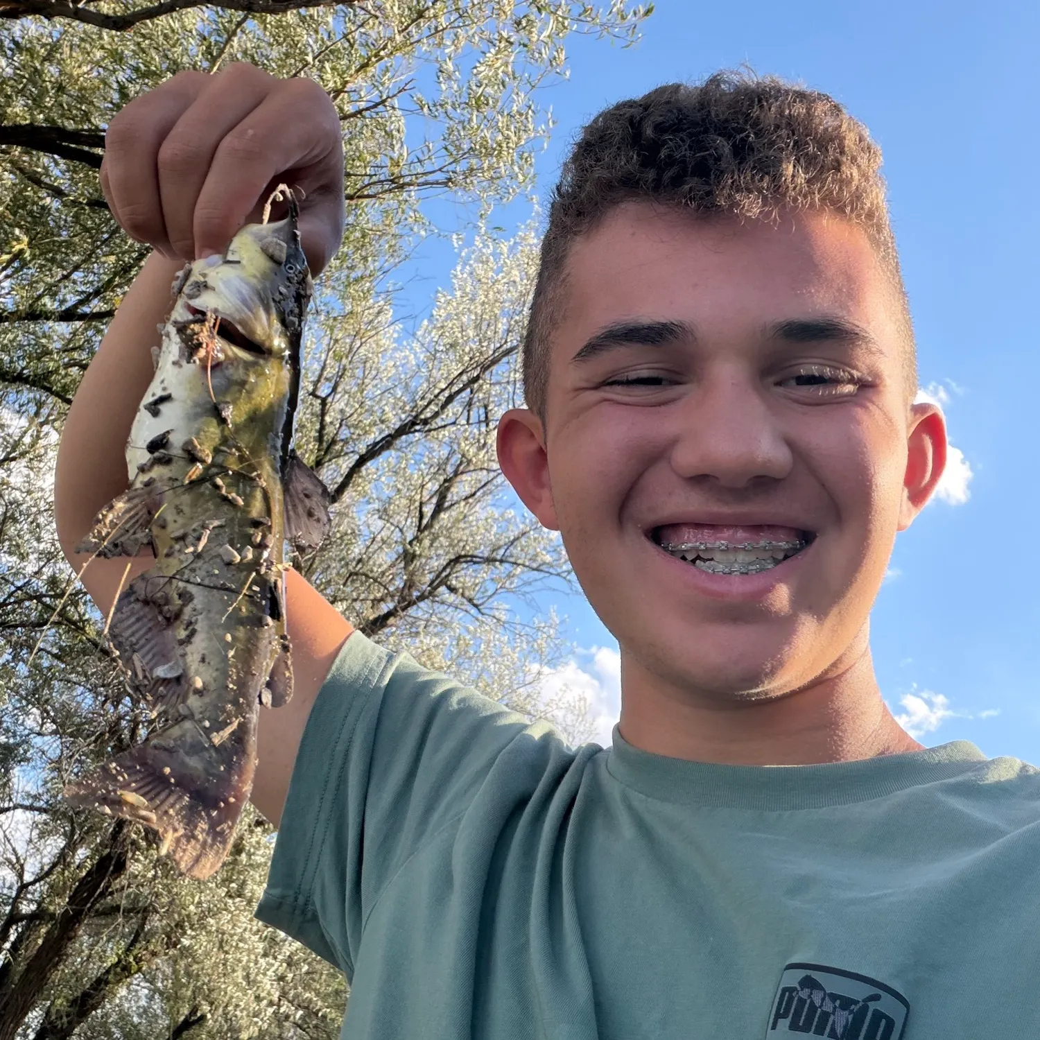 Brown bullhead caught on Fishbrain
