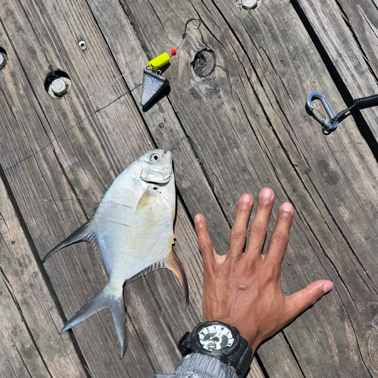 Palometa caught on Fishbrain