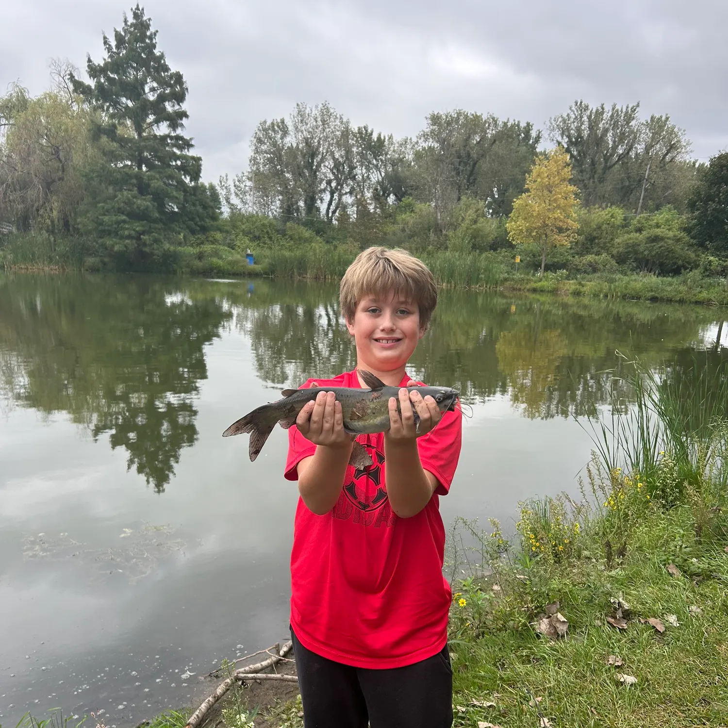 Channel catfish caught on Fishbrain