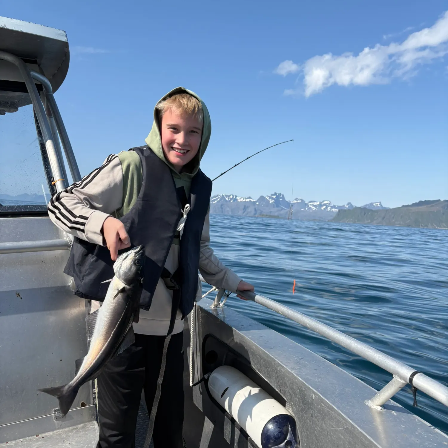 The most recent Atlantic pollock catches on Fishbrain