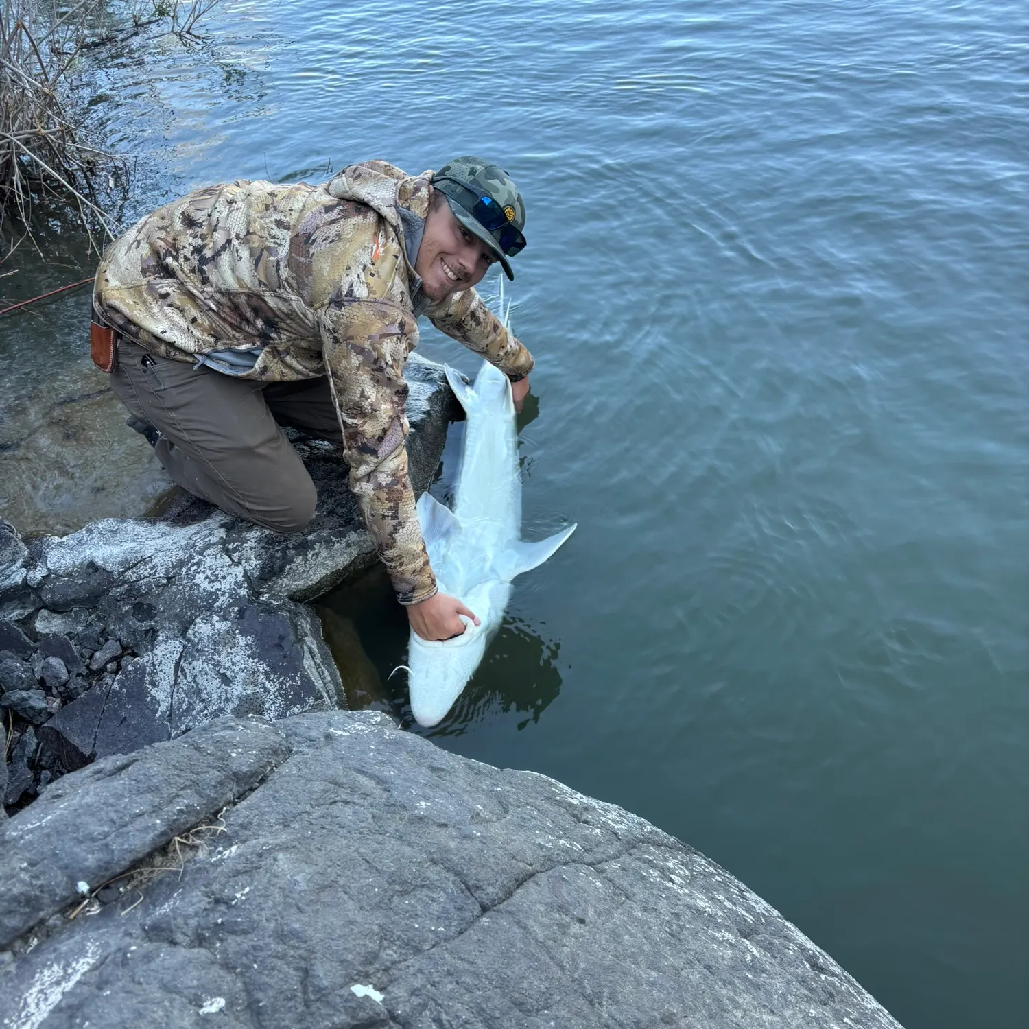 The most recent White sturgeon catches on Fishbrain
