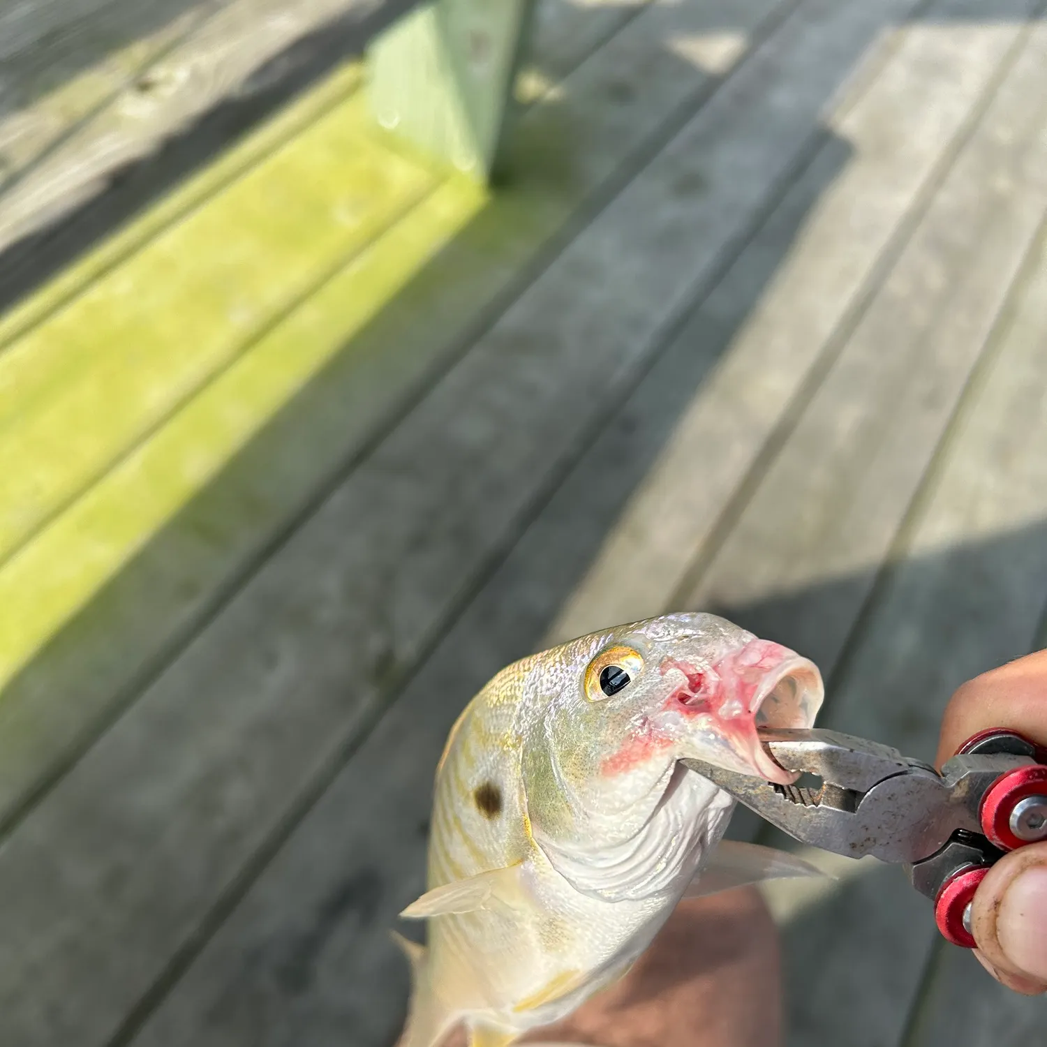 catch