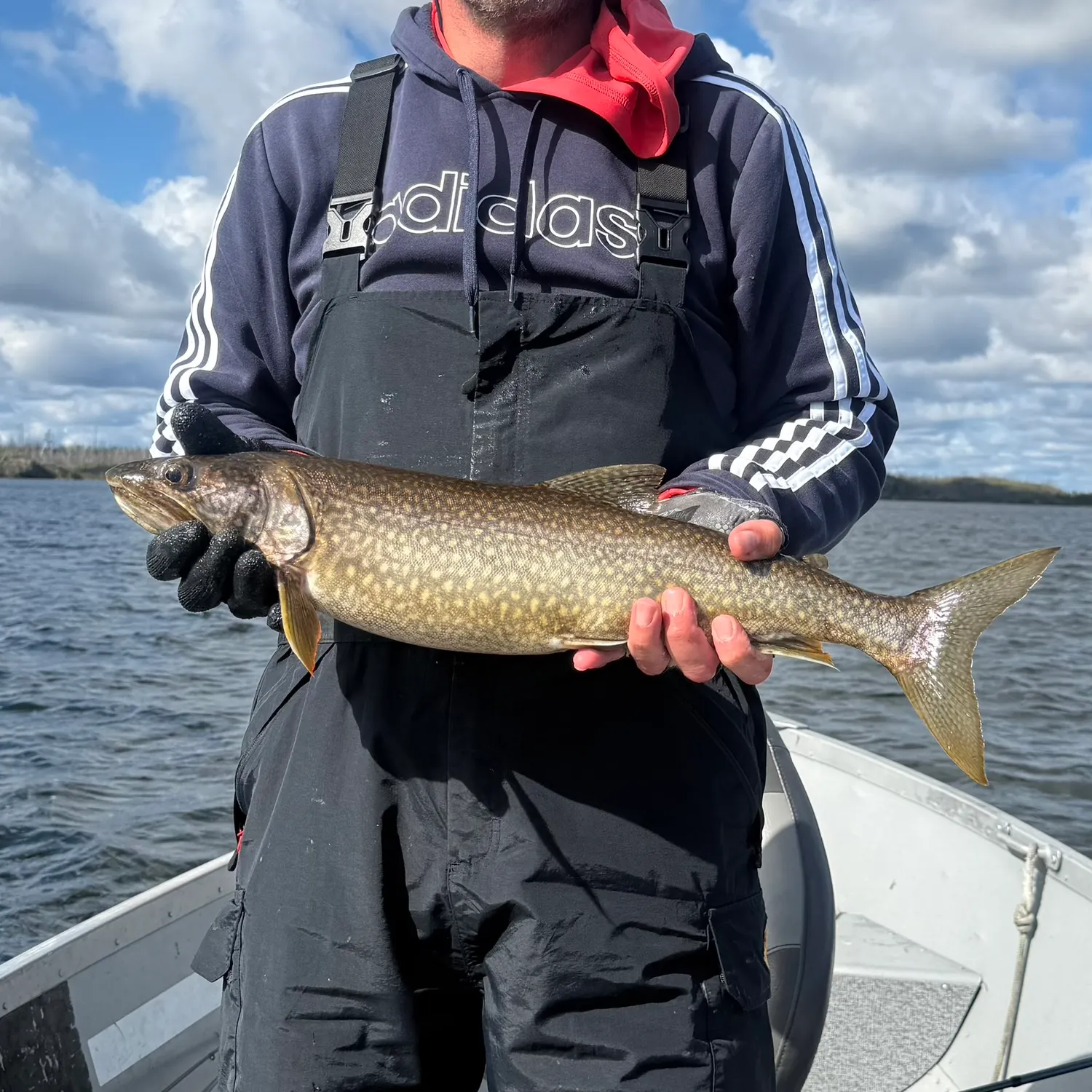 Lake char caught on Fishbrain