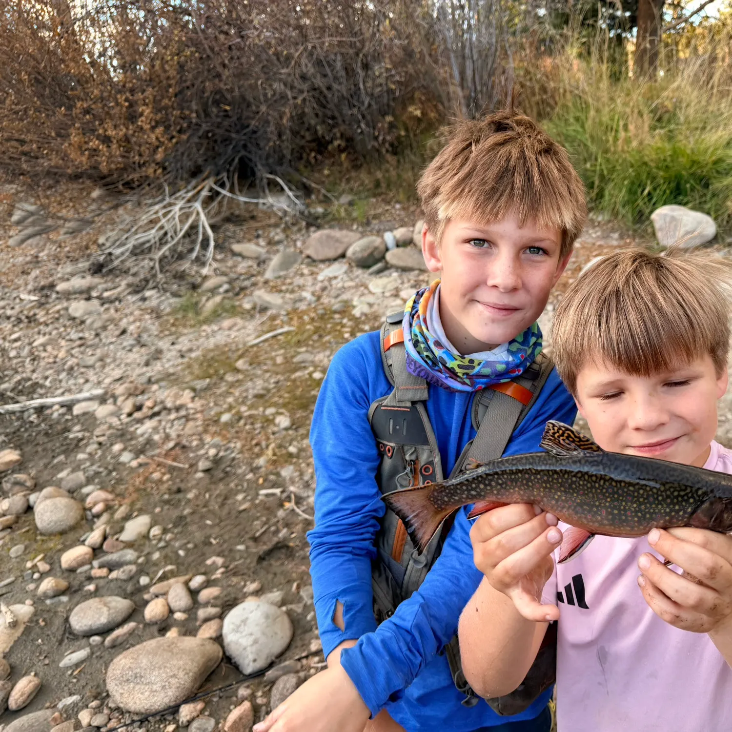 Brook trout caught on Fishbrain