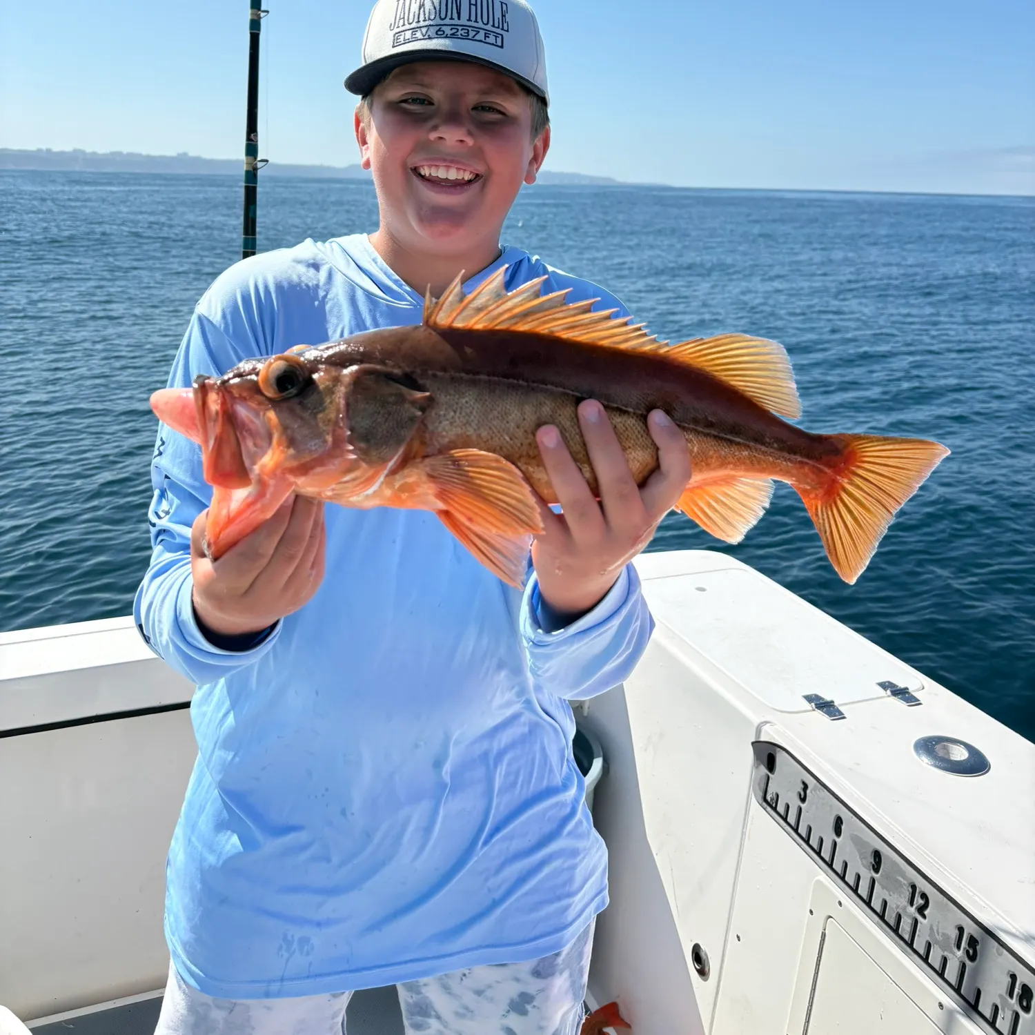 The most recent Bocaccio rockfish catches on Fishbrain