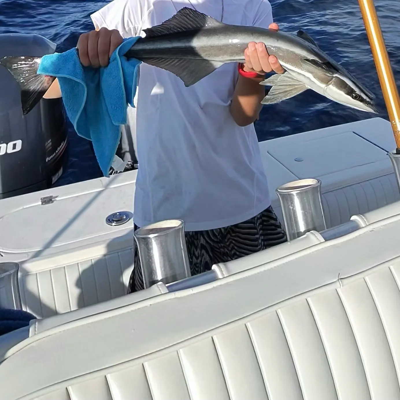 The most recent Common remora catches on Fishbrain