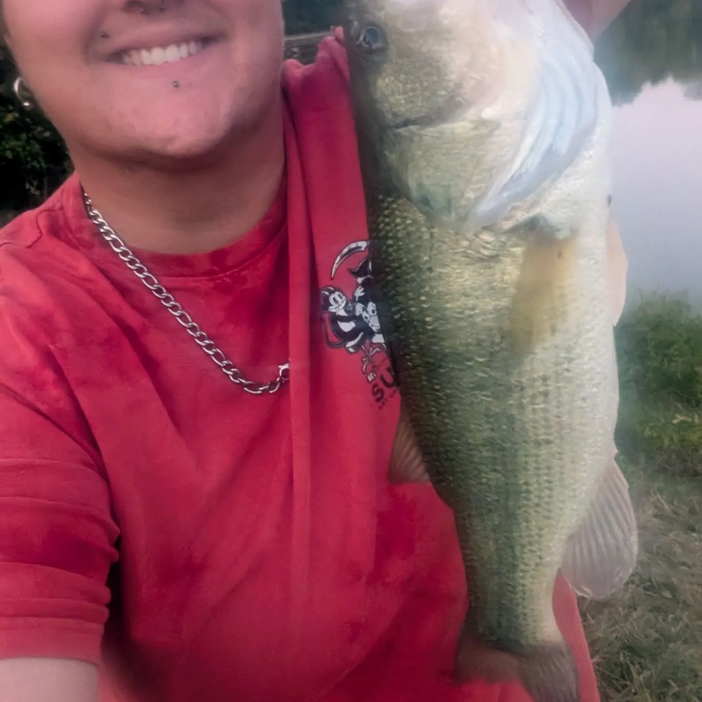 Largemouth bass caught on Fishbrain