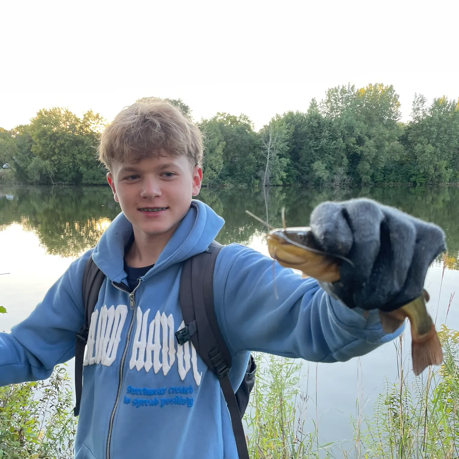 Yellow bullhead caught on Fishbrain