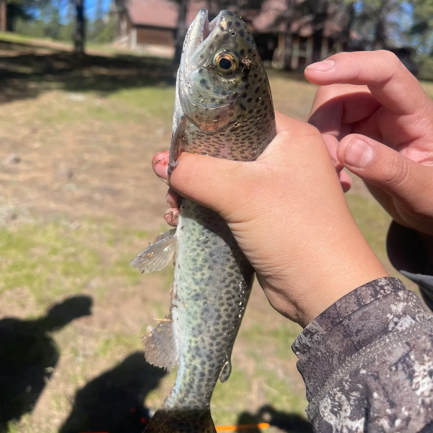 catch
