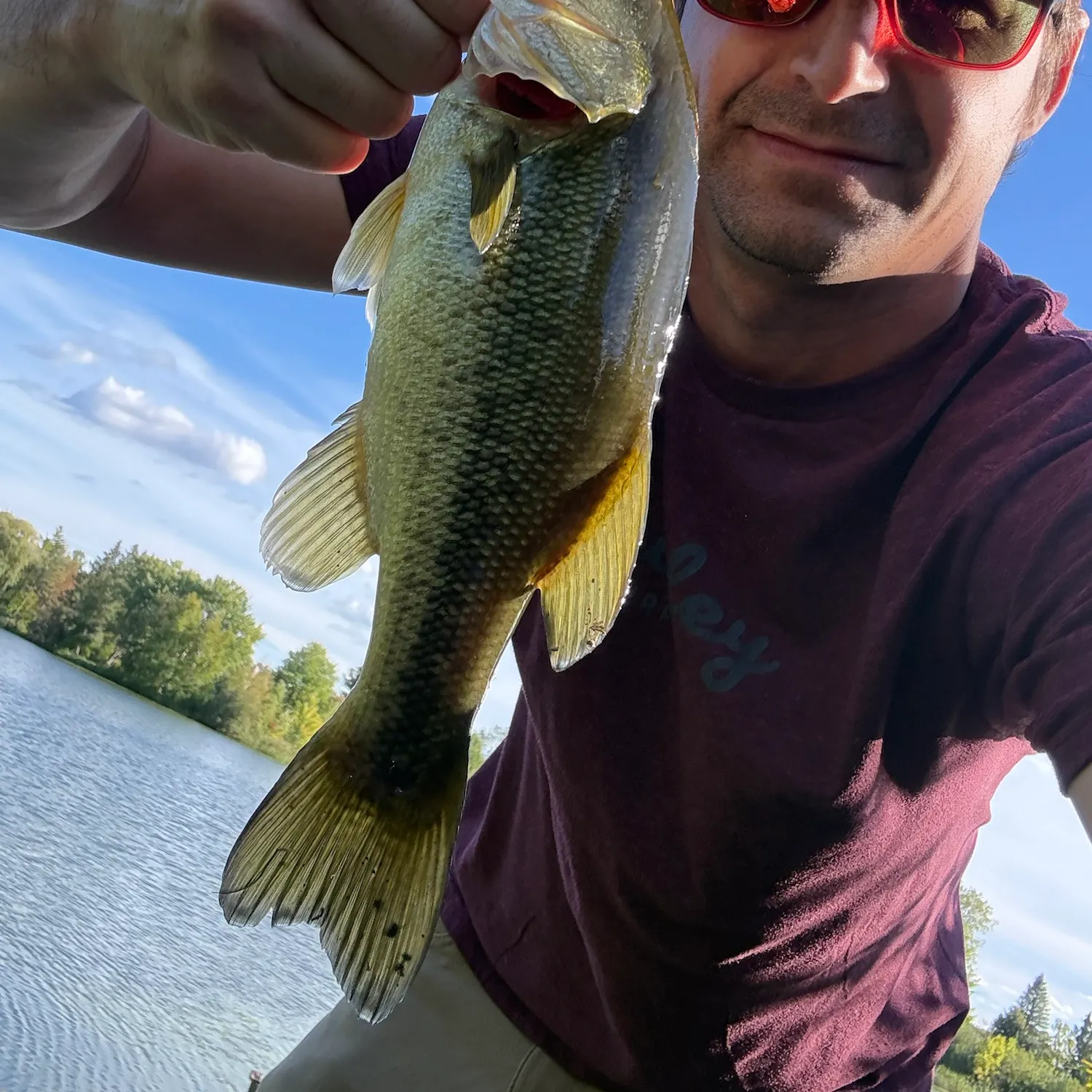Largemouth bass caught on Fishbrain