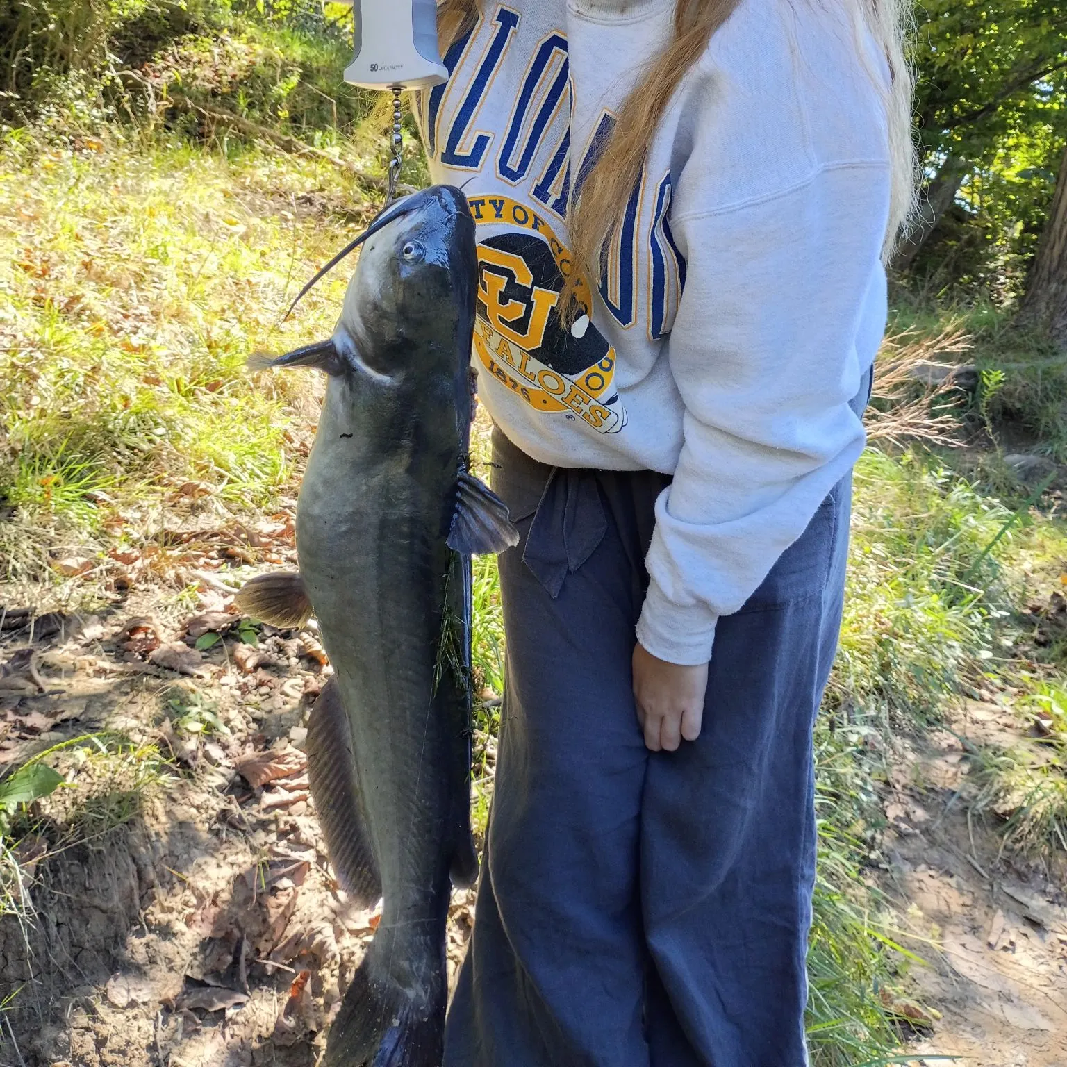 Channel catfish caught on Fishbrain