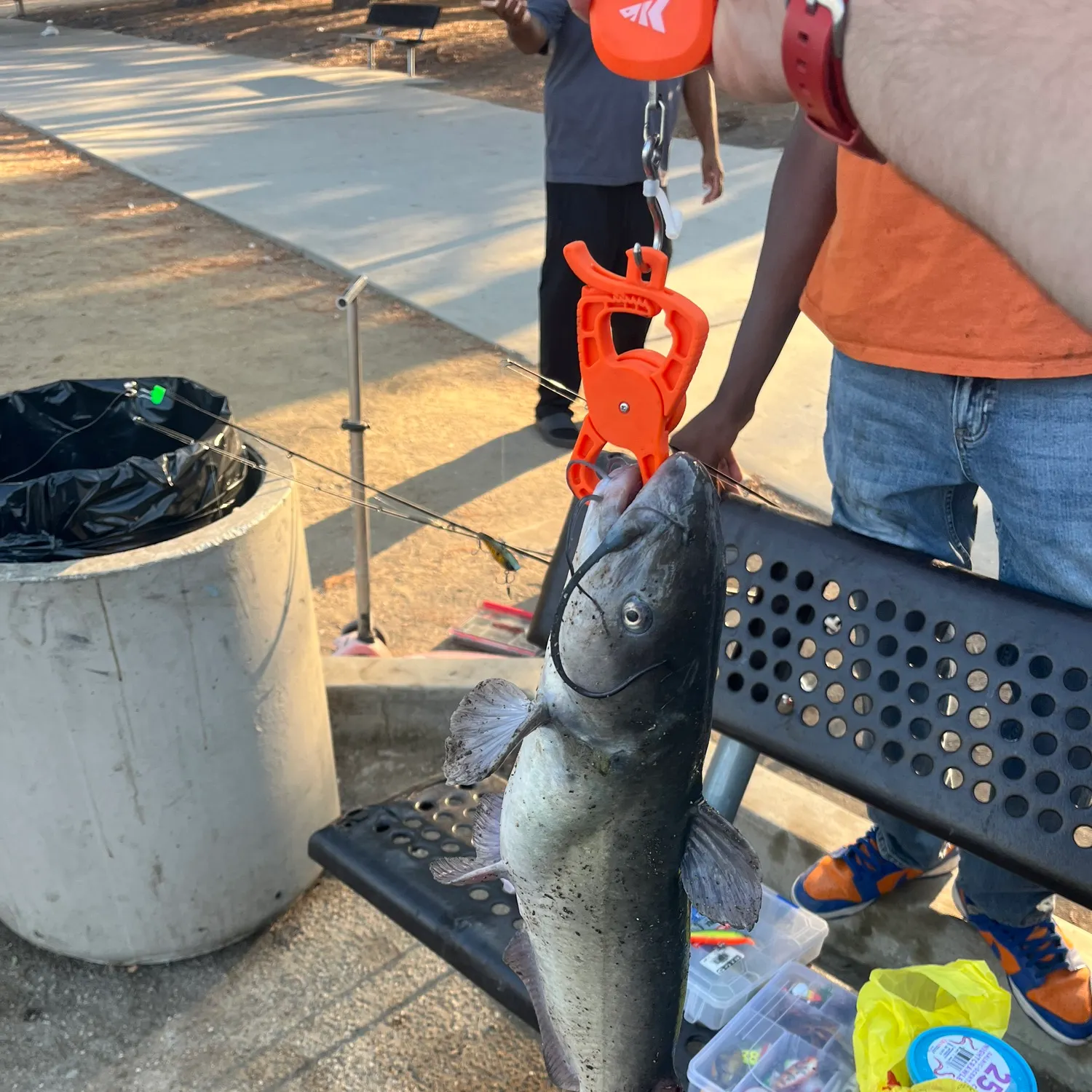 catch