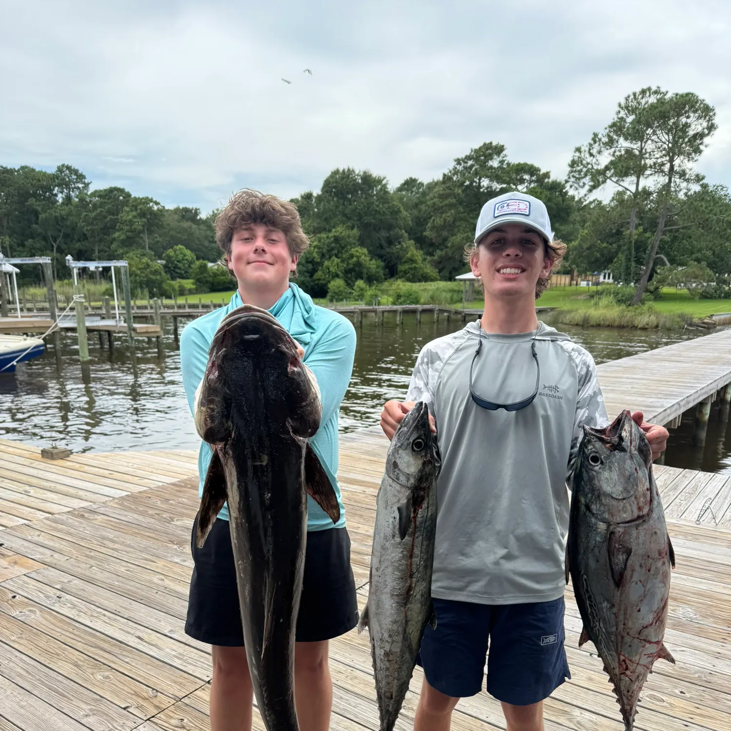 The most recent Atlantic bonito catches on Fishbrain