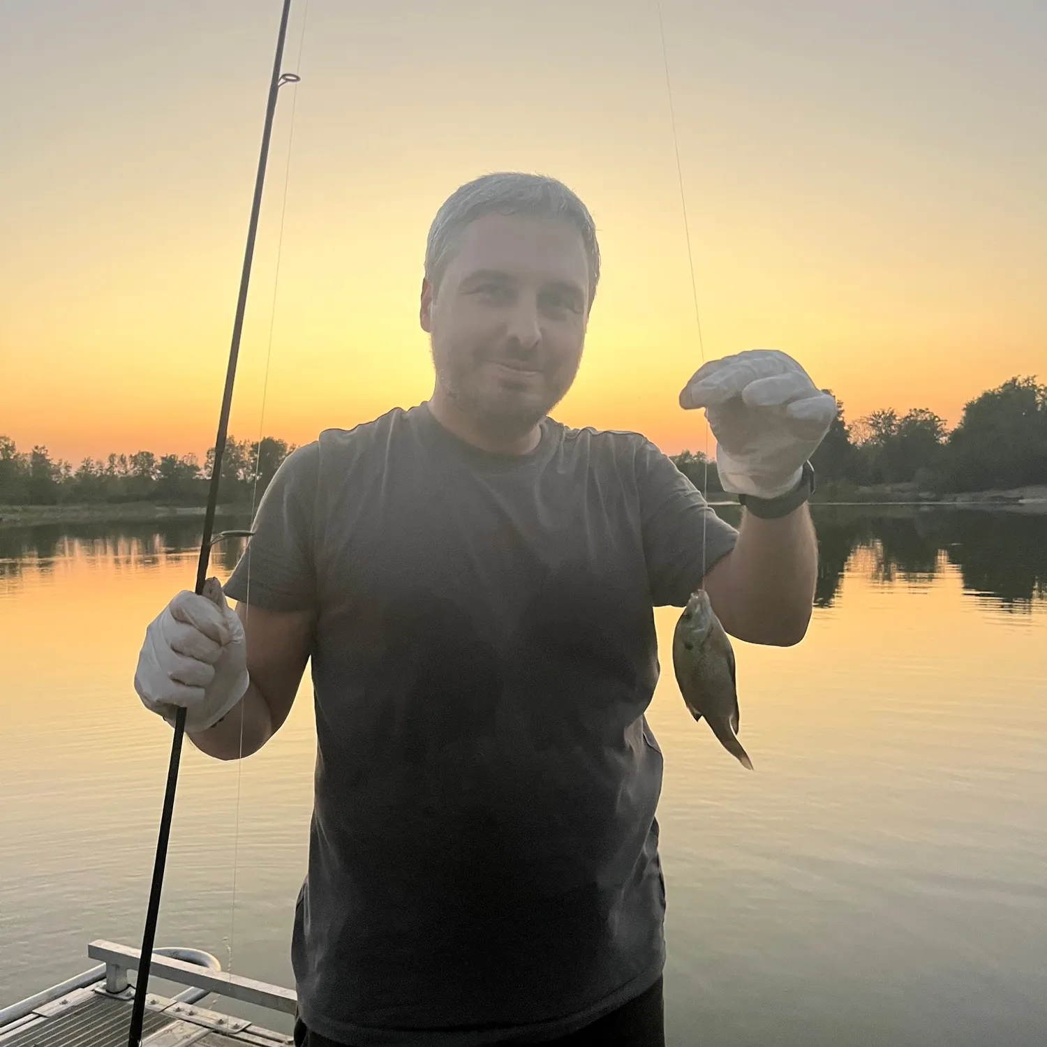 Bluegill caught on Fishbrain