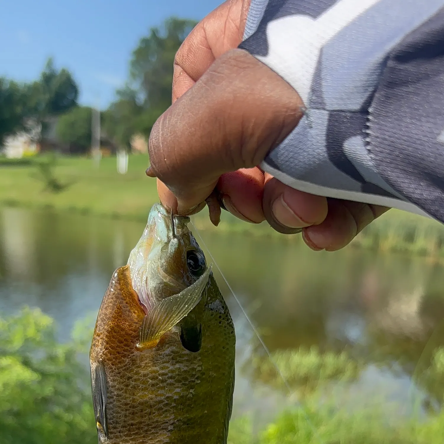 catch