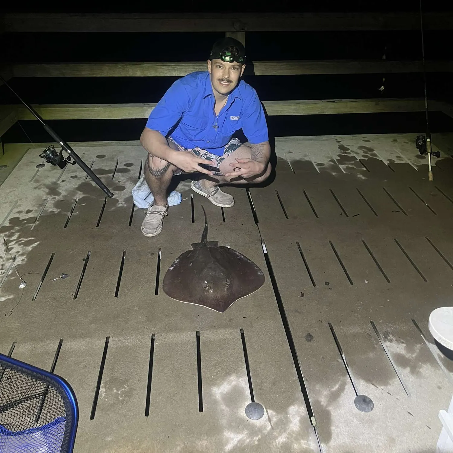 The most recent Southern stingray catches on Fishbrain