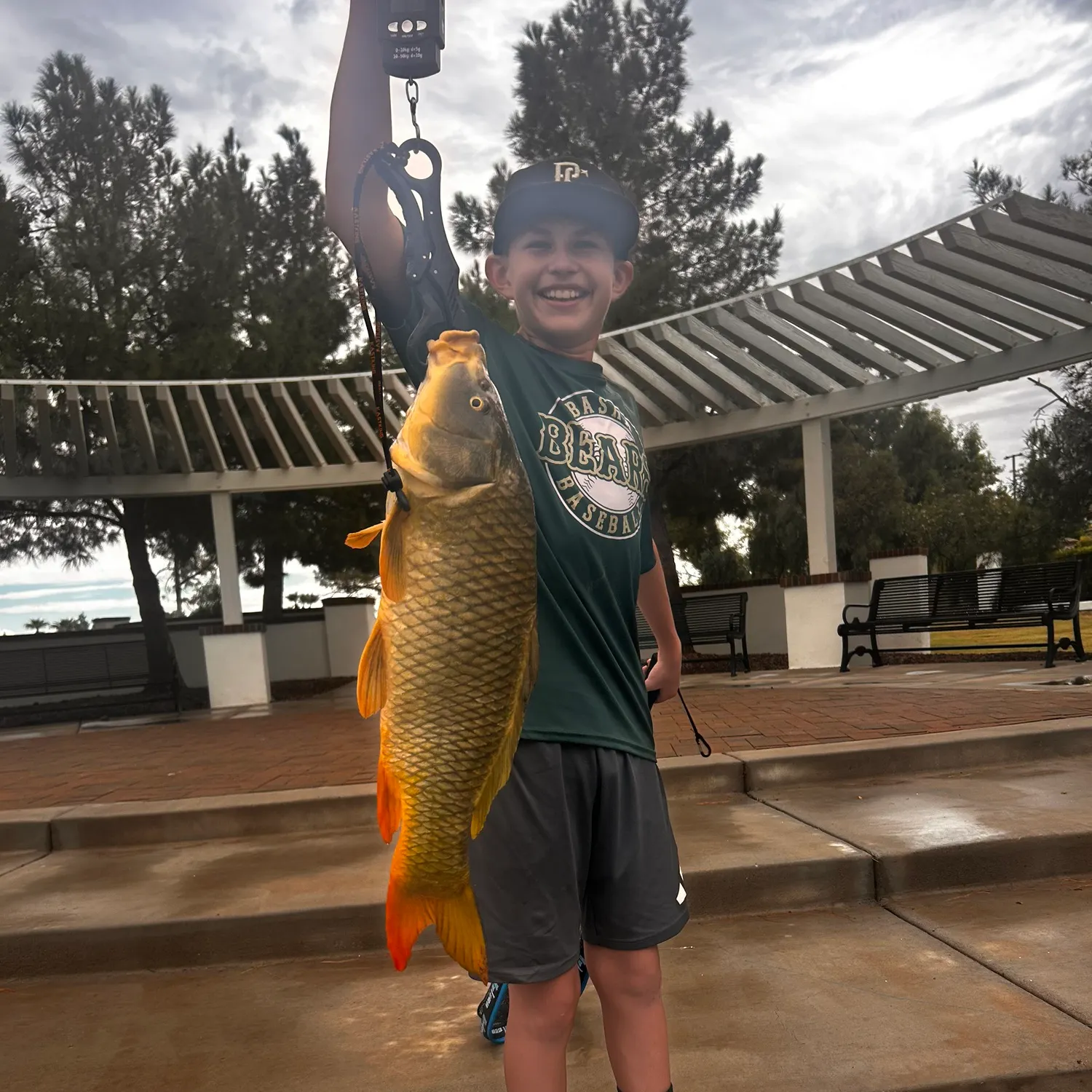 The most recent Koi x common carp catches on Fishbrain