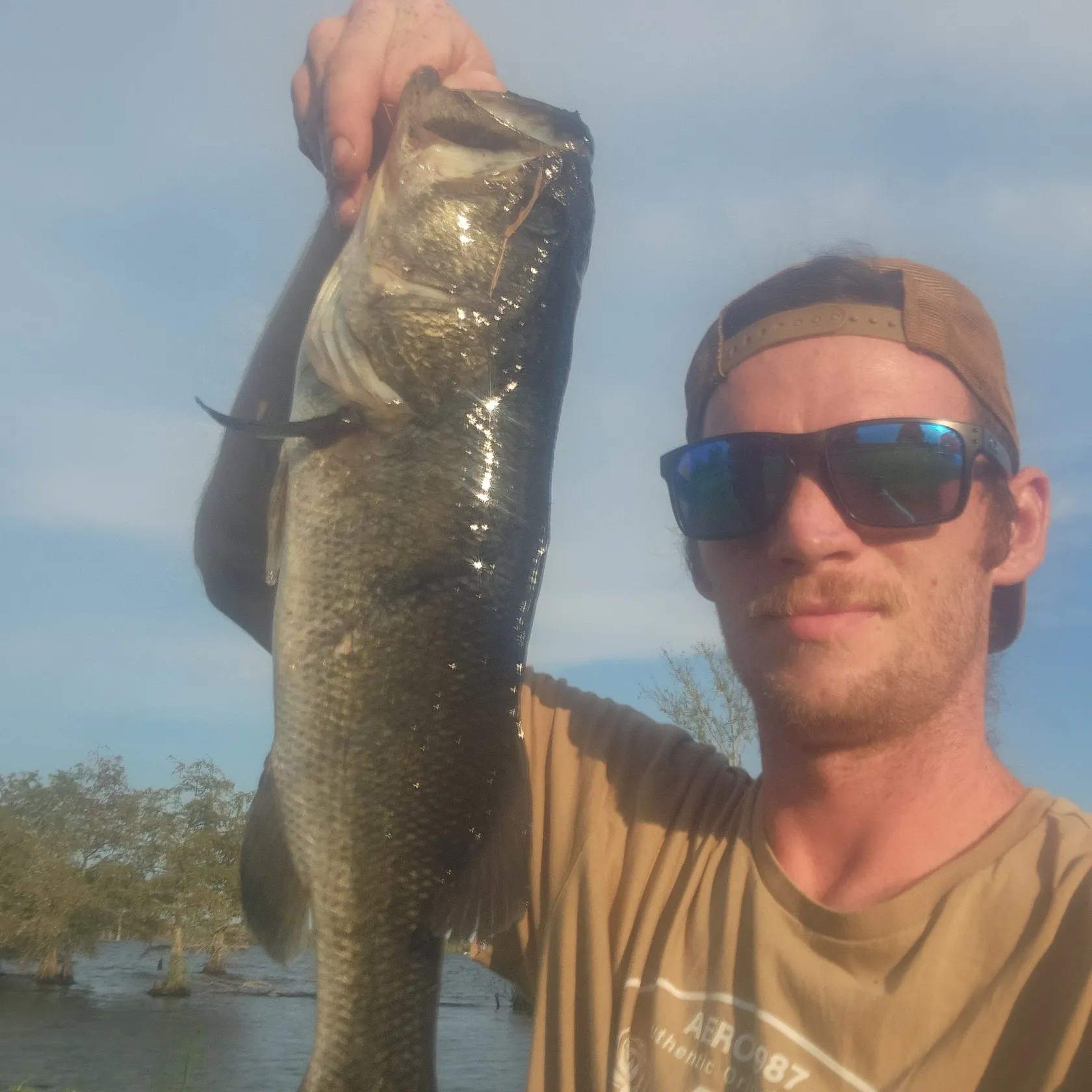 Largemouth bass caught on Fishbrain