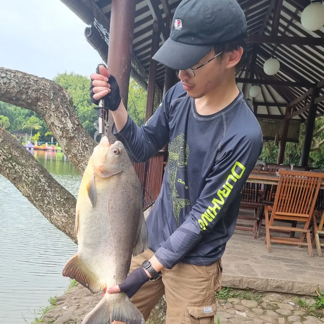 The most recent Red-bellied pacu catches on Fishbrain