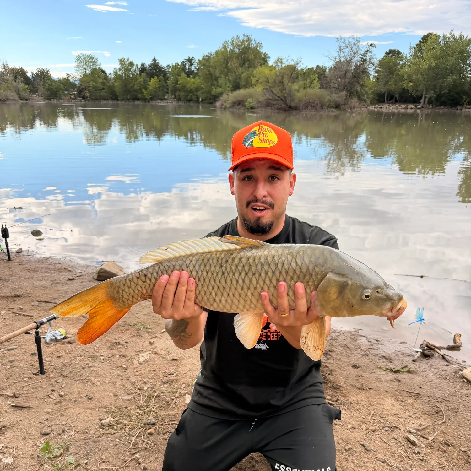 Common carp caught on Fishbrain