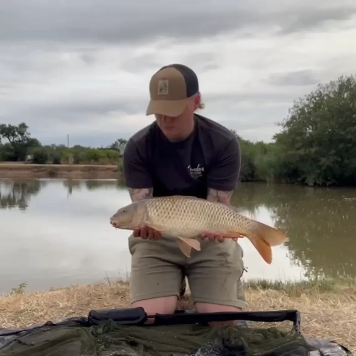 Common carp caught on Fishbrain
