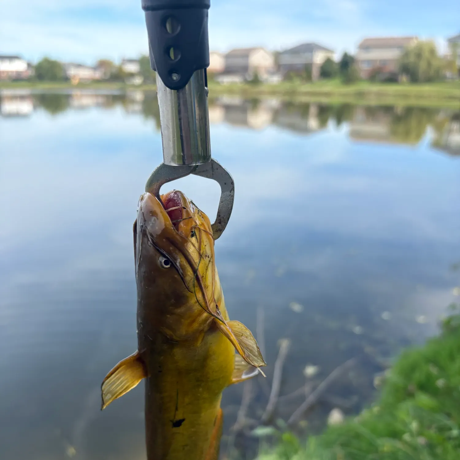 catch