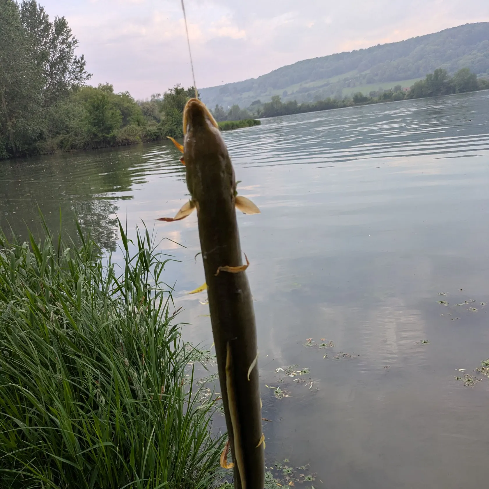 most liked catch image