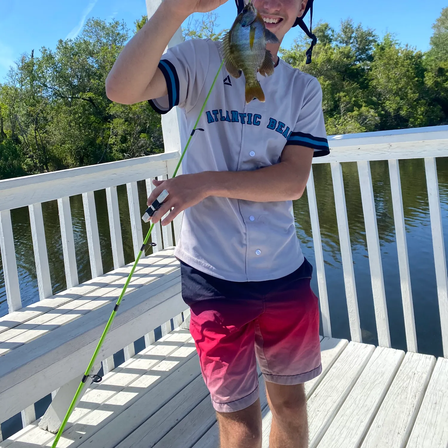 Bluegill caught on Fishbrain
