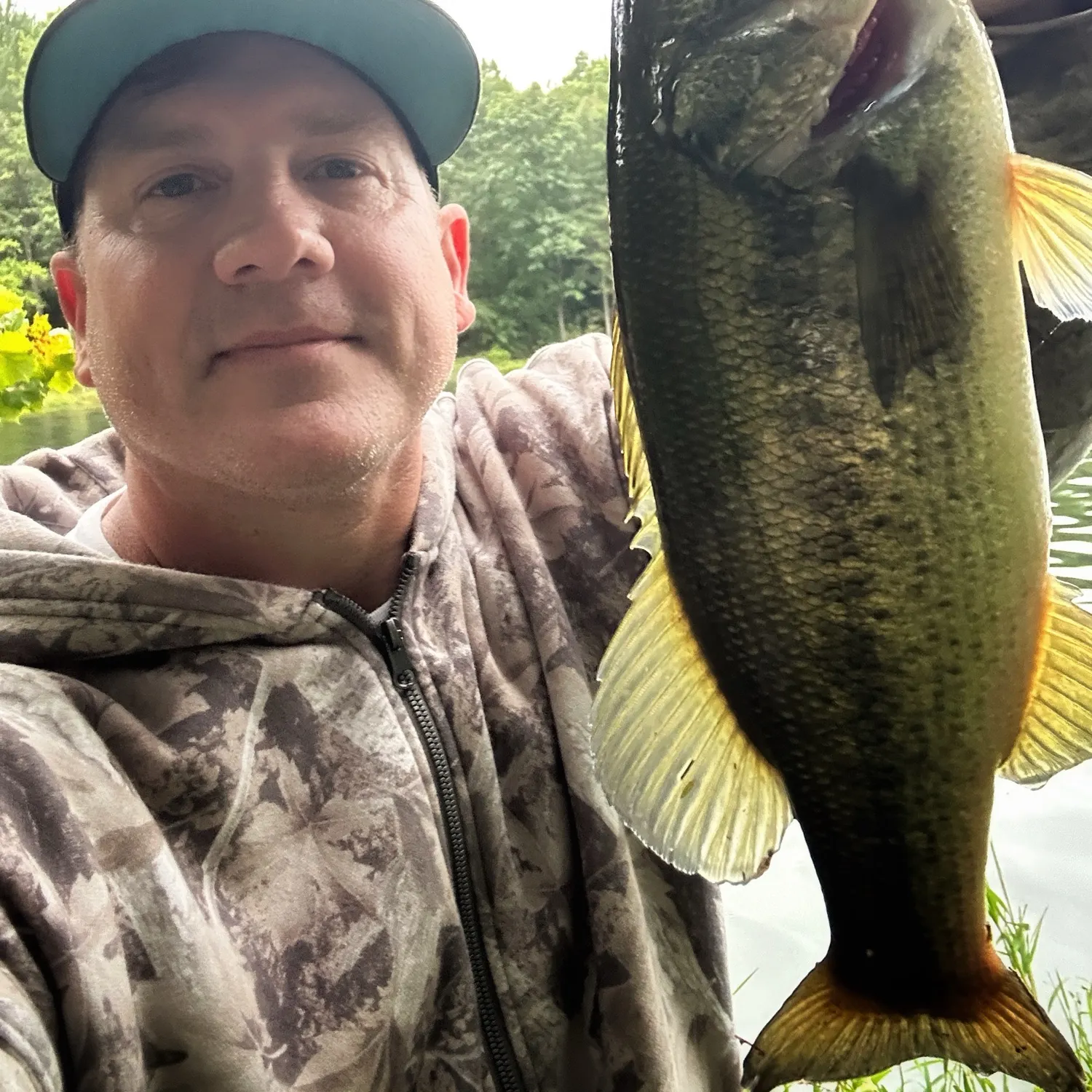 Largemouth bass caught on Fishbrain
