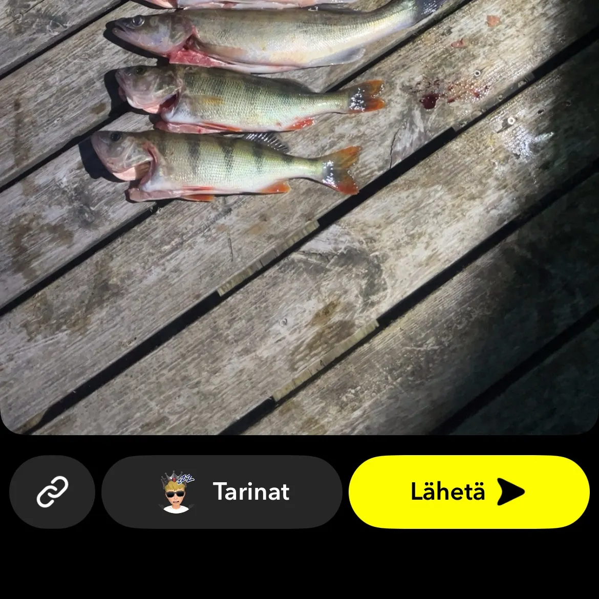recently logged catches