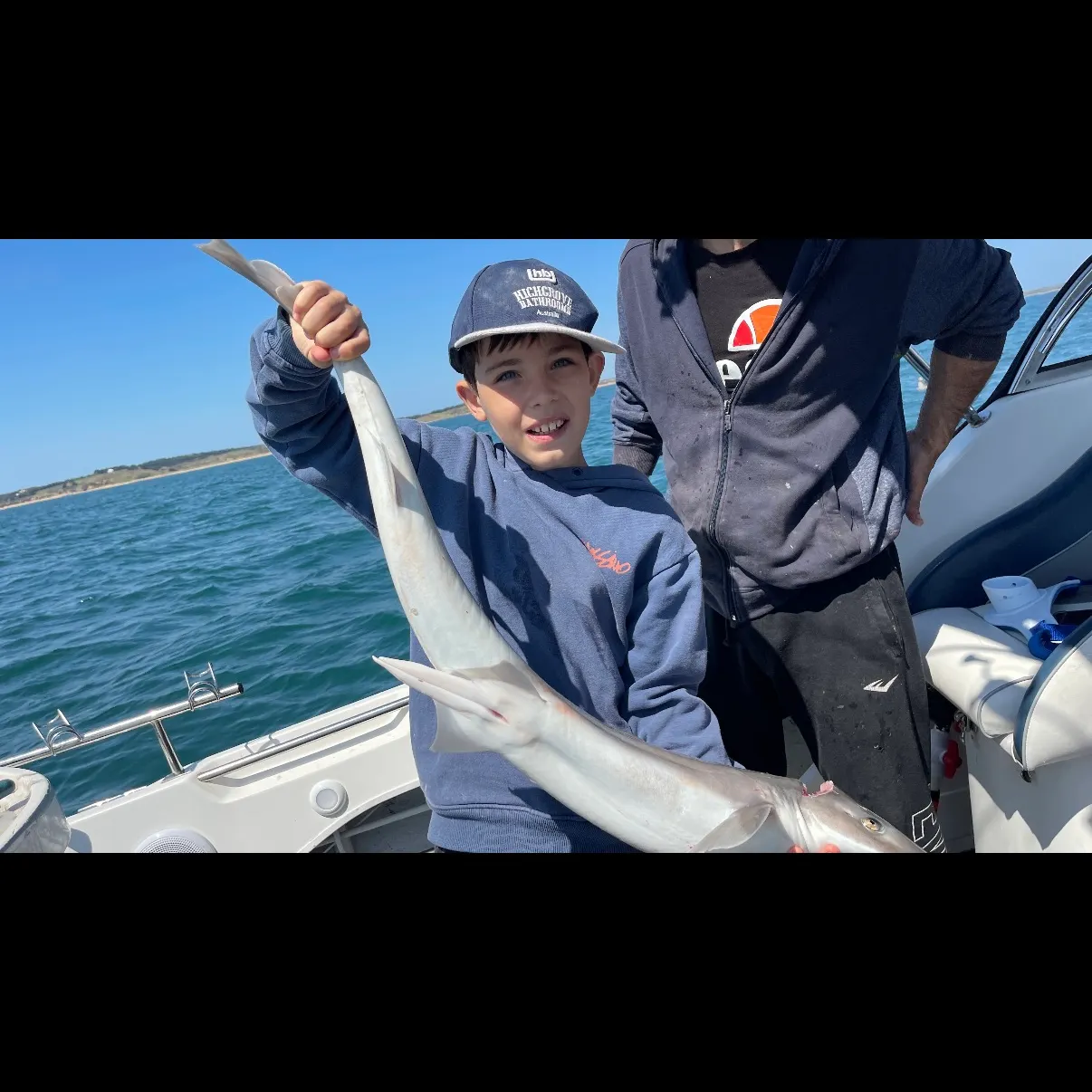 The most recent Gummy shark catches on Fishbrain