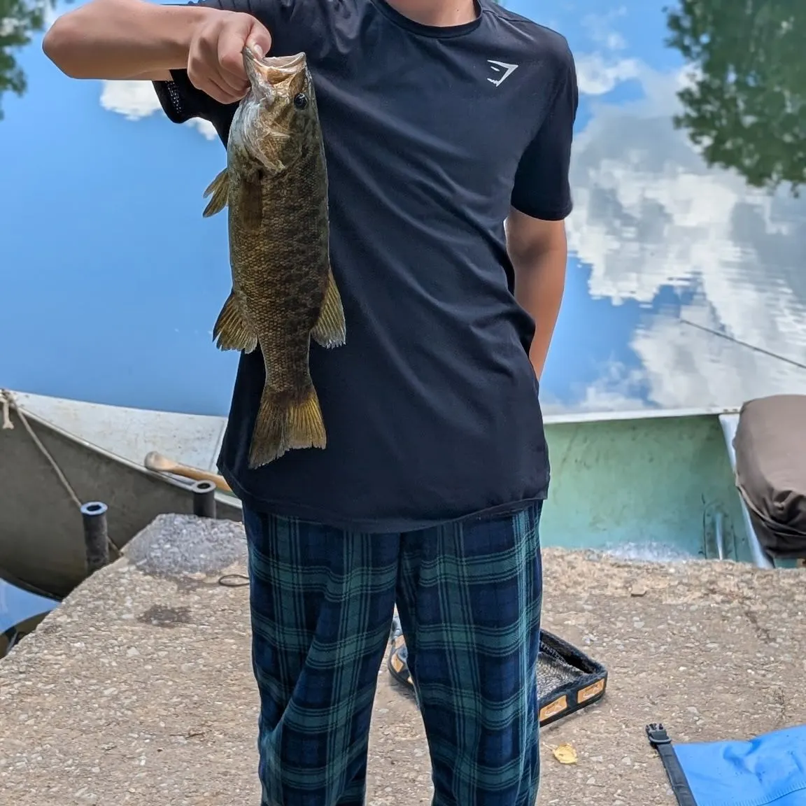 The most recent Smallmouth bass catches on Fishbrain