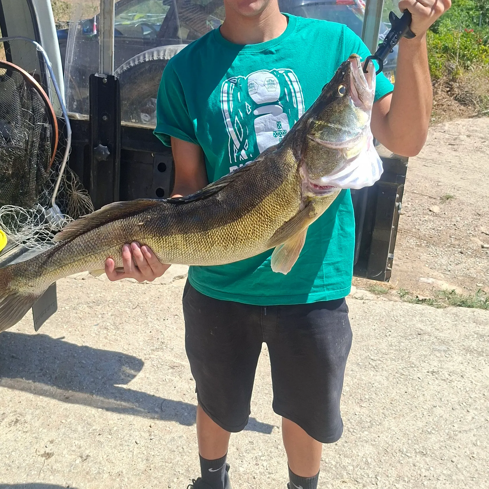 Zander caught on Fishbrain