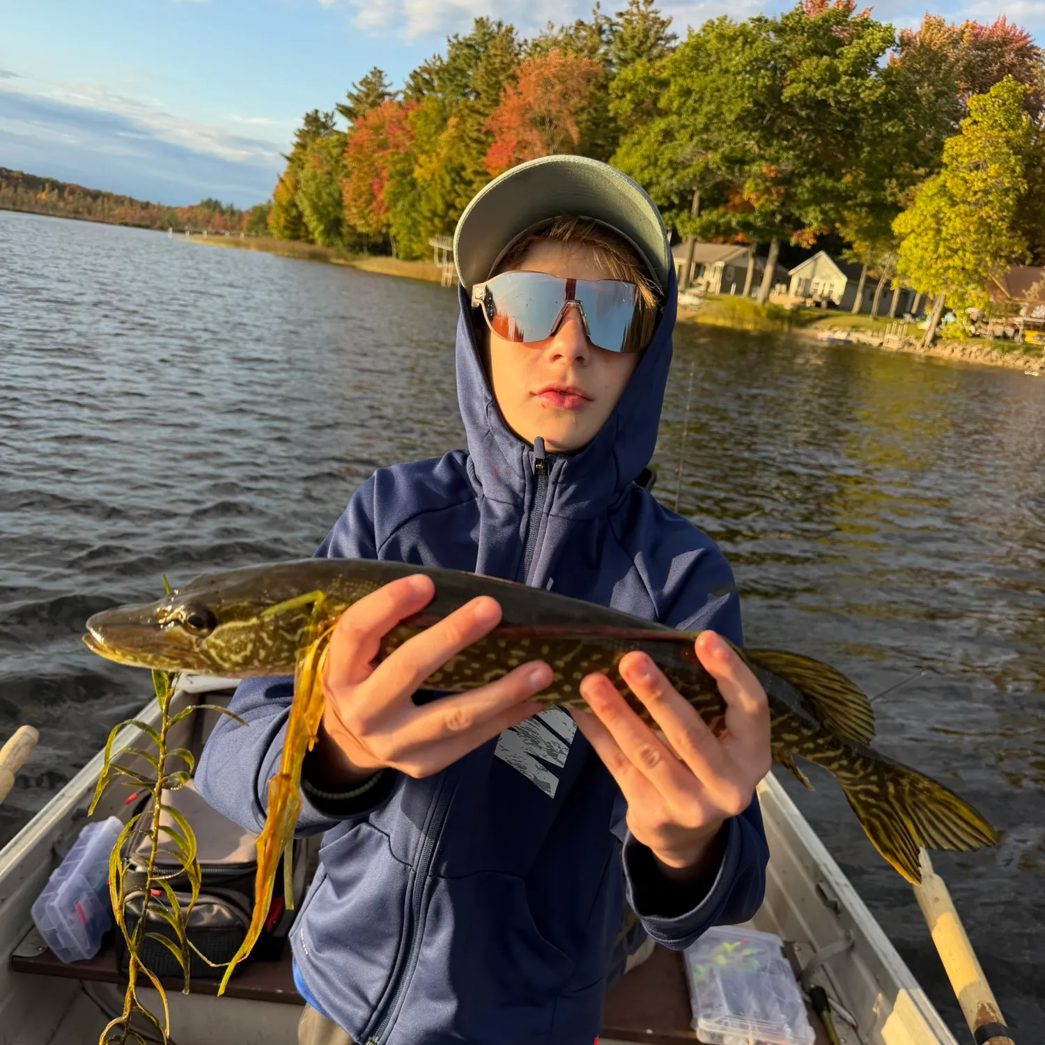 Northern pike caught on Fishbrain