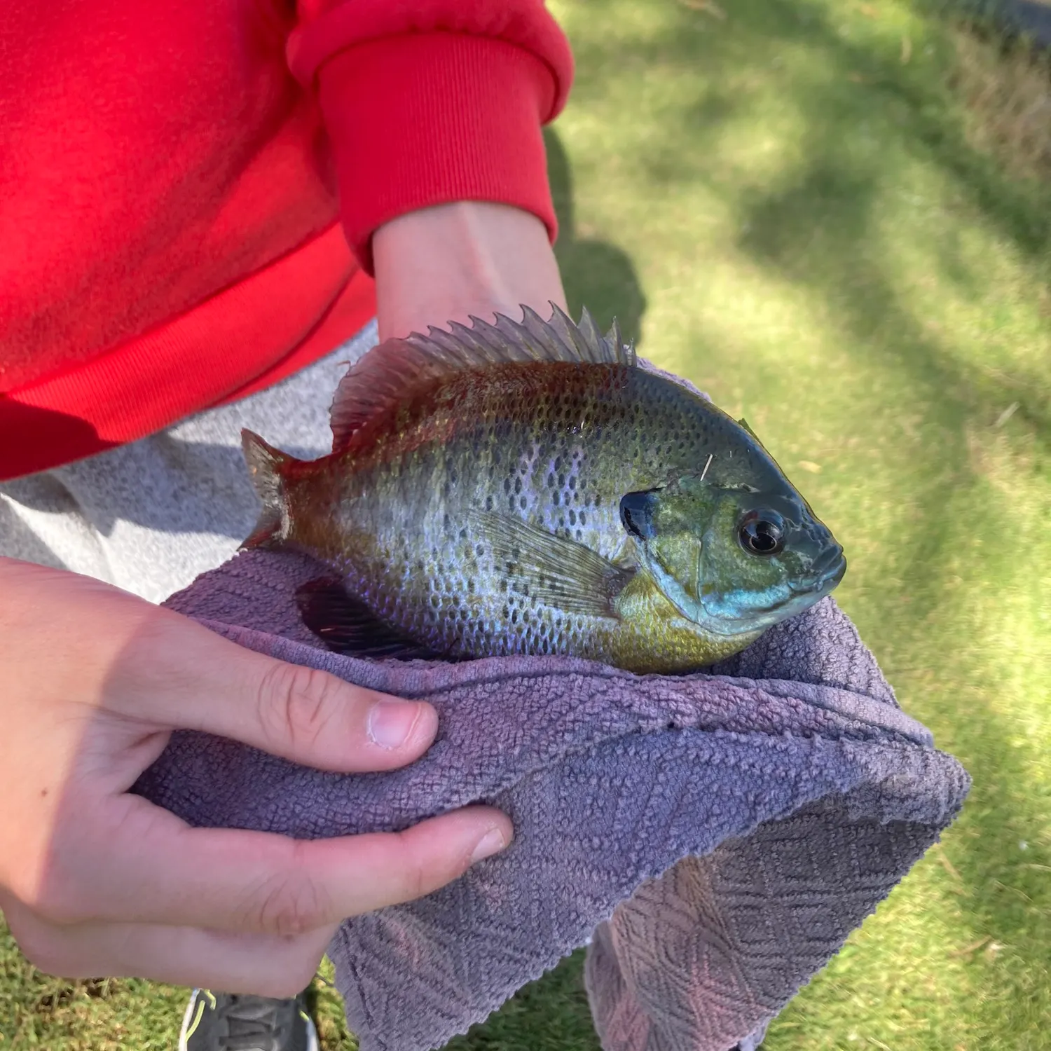 catch