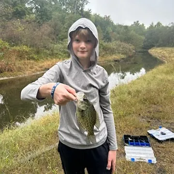 Black crappie caught on Fishbrain