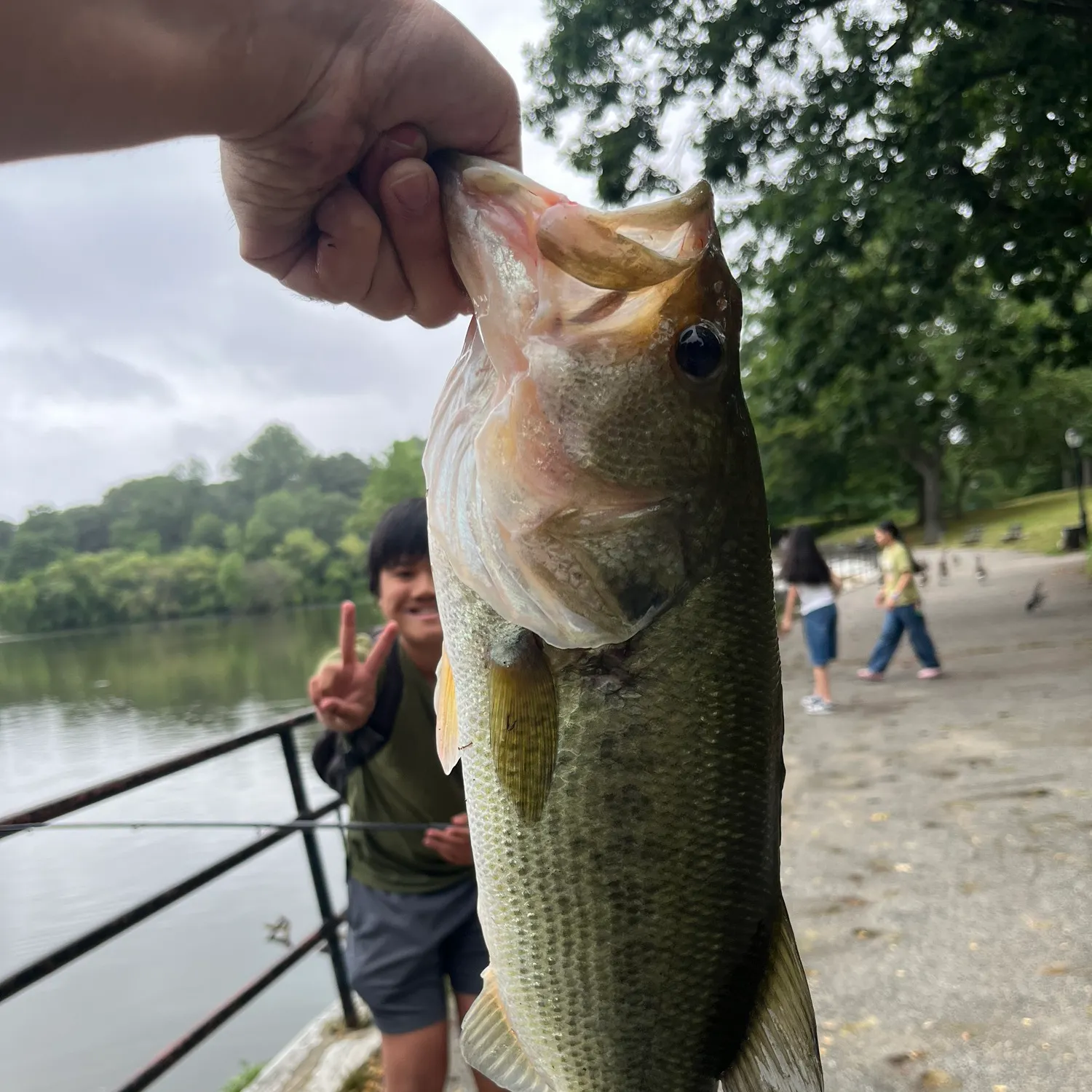 catch