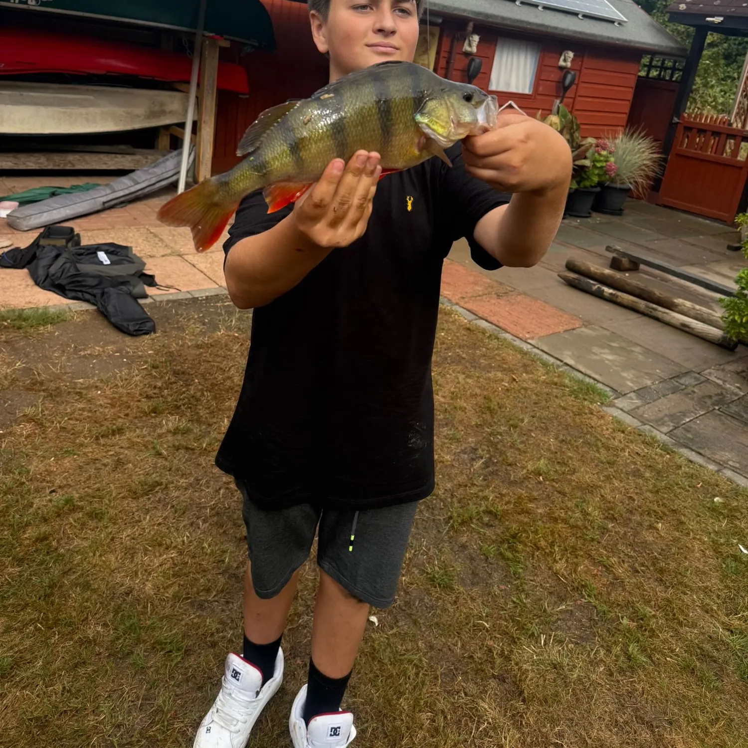 European perch caught on Fishbrain