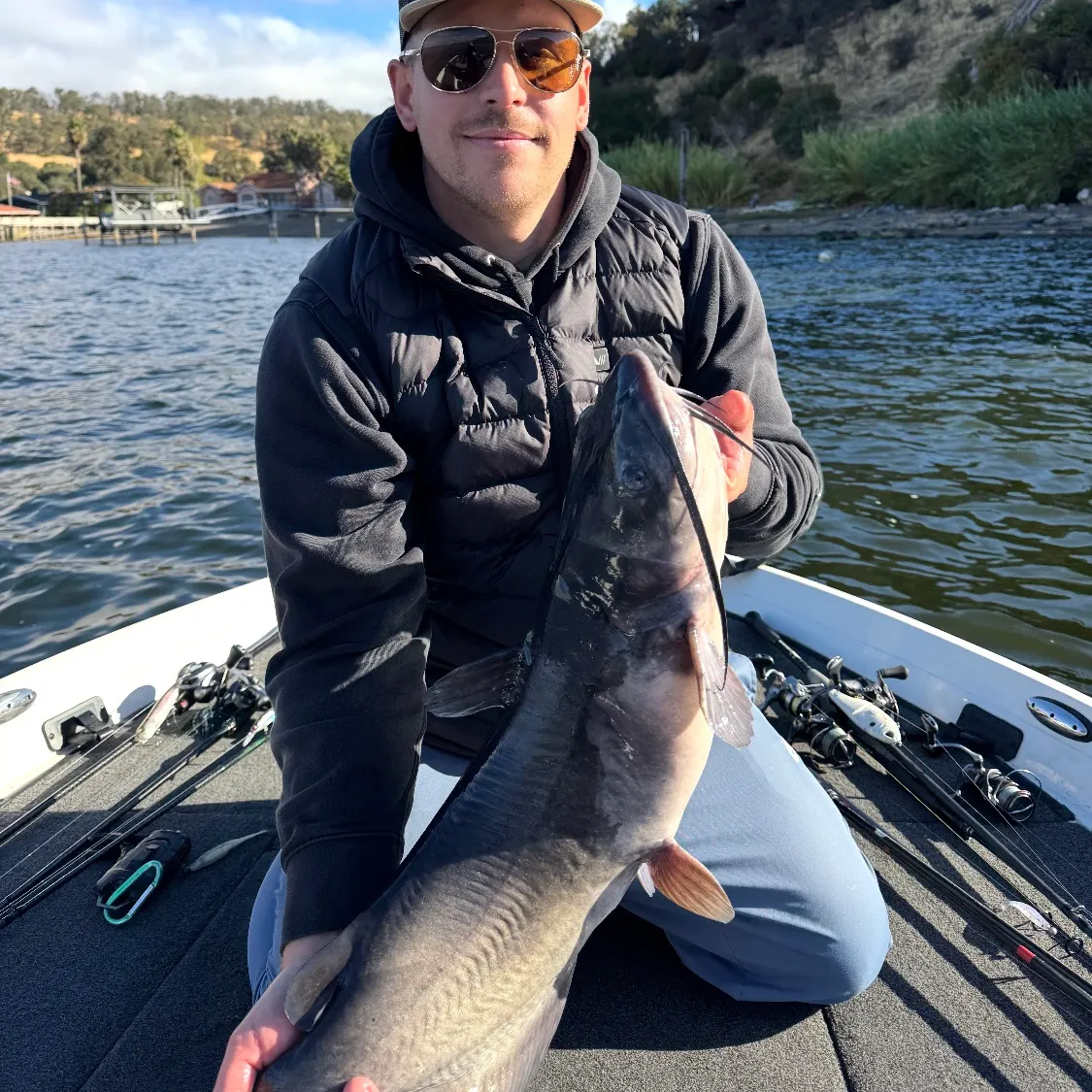 Channel catfish caught on Fishbrain