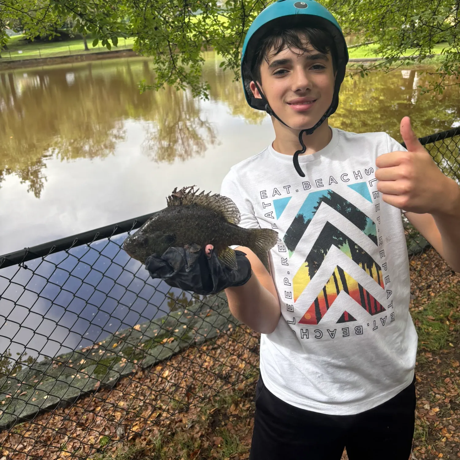 Bluegill caught on Fishbrain