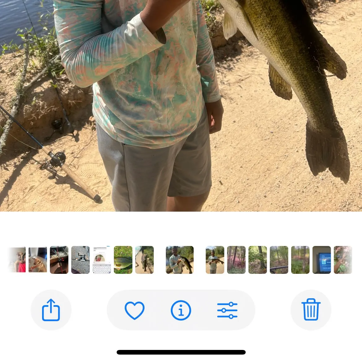 recently logged catches